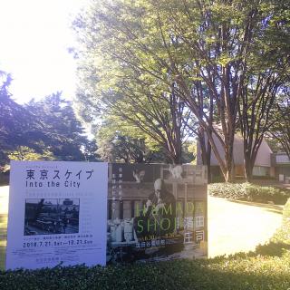 東京スケイプ01.JPG
