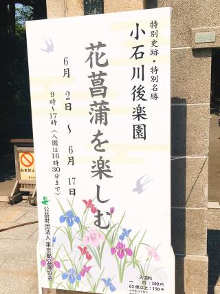 花菖蒲１.jpg